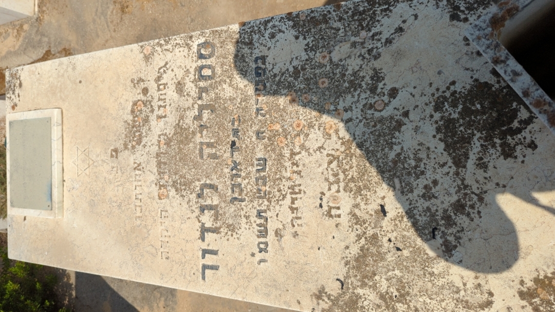 קברו של ציציליה לנדור. תמונה 3