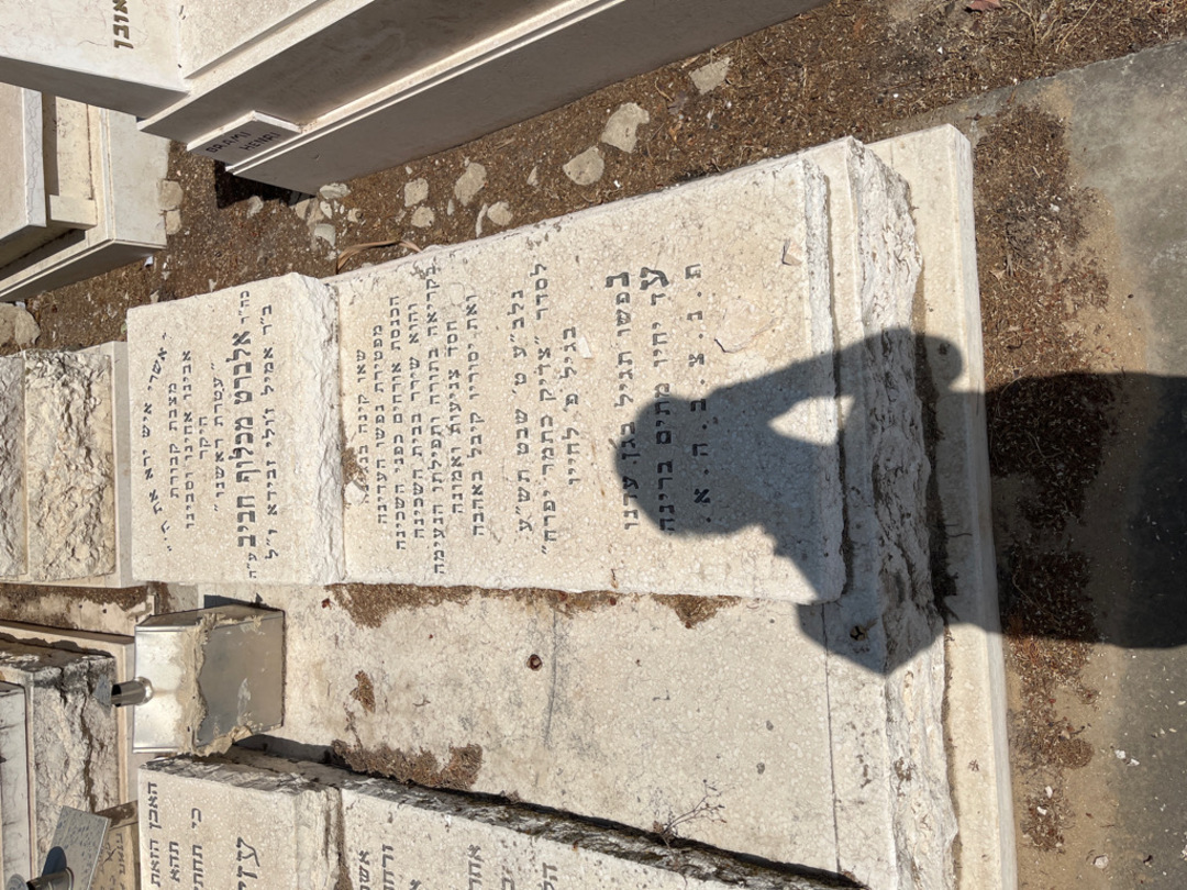 קברו של אלברט מכלו חביב. תמונה 2