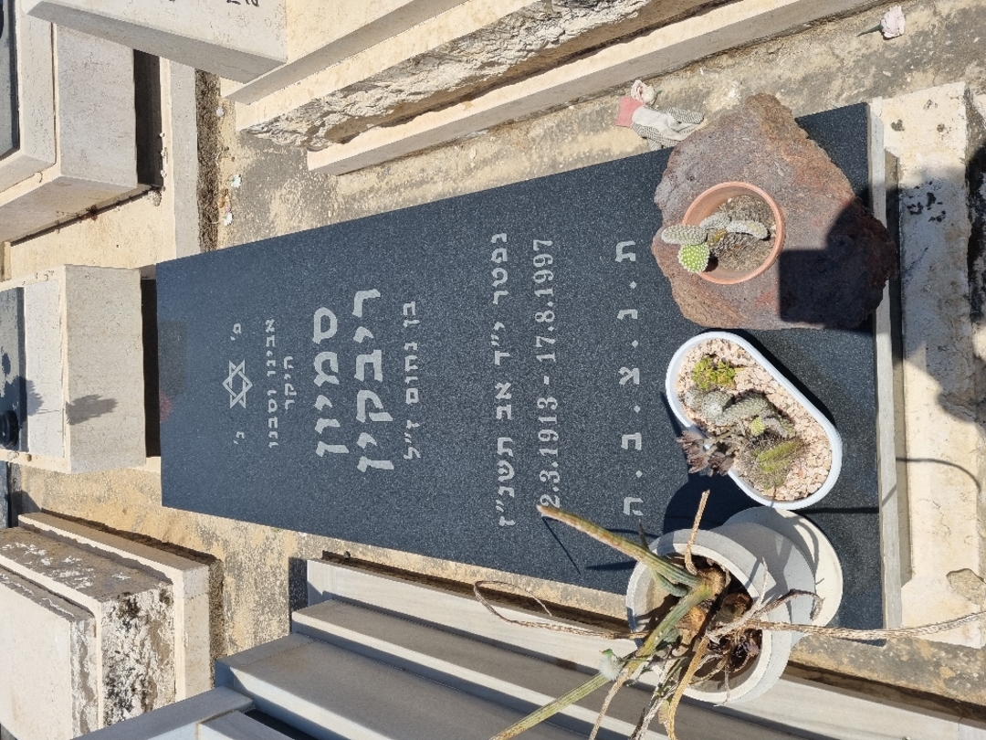 קברו של סמיון ריבקין
