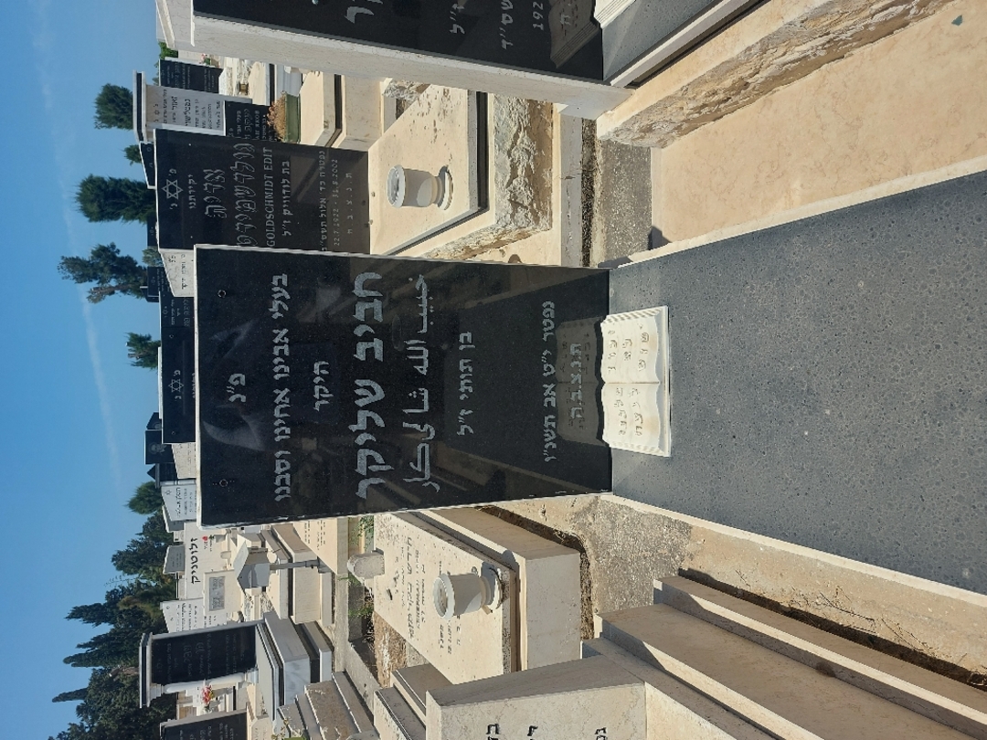 קברו של חביב שליקאר. תמונה 1