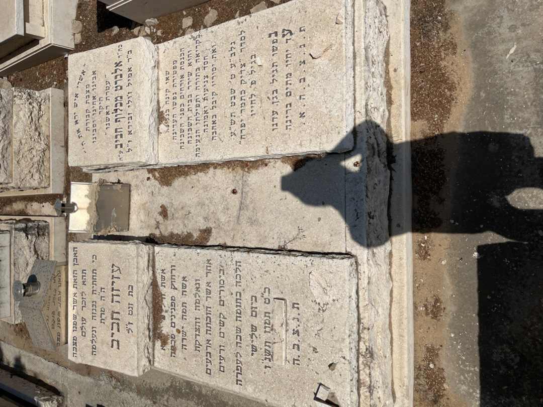 קברו של אלברט מכלו חביב. תמונה 1