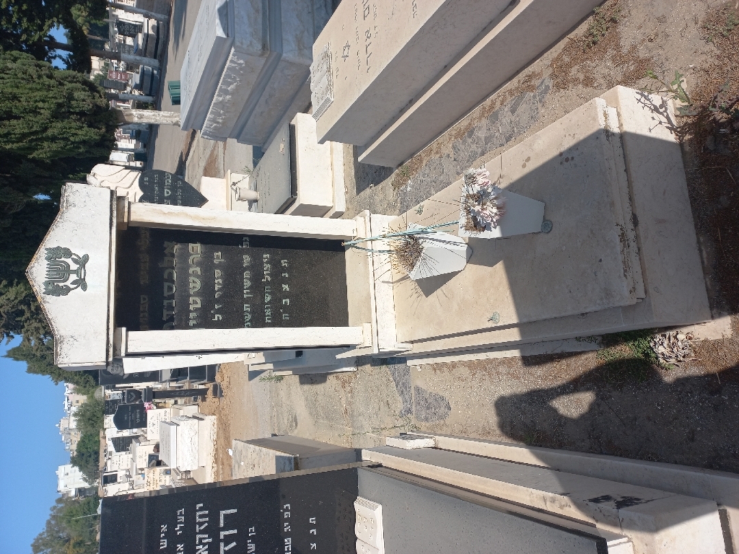 קברו של אלכסנדר ברנשטיין