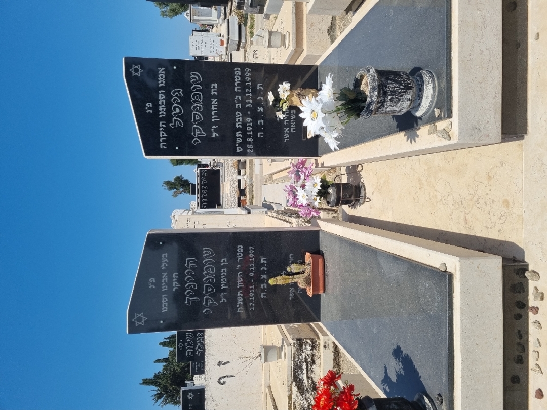 קברו של גיטל שומנסקי. תמונה 1