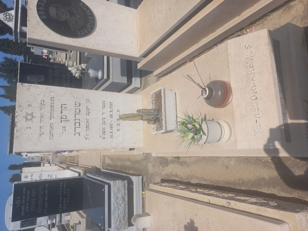 קברו של הרמן (צבי) שטרנברג